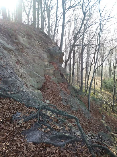 Jakubowe / Zamczyska (568 m n.p.m.)