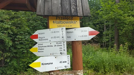 Mogiła zbiorowa Żydów na Przełęczy Hałbowskiej
